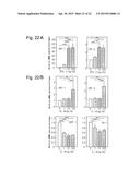 METHOD FOR SCREENING AMELIORANTS OF DRY SKIN CAUSED BY ATOPIC DERMATITIS     USING BLEOMYCIN HYDROLASE ACTIVITY AS INDICATOR diagram and image