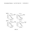 ENZYME ASSAY WITH DUPLICATE FLUOROPHORES diagram and image