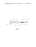 ENZYME ASSAY WITH DUPLICATE FLUOROPHORES diagram and image