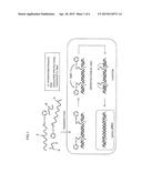 METHOD FOR CONSTRUCTING FUNCTIONAL NUCLEIC ACID MOLECULE, AND NUCLEIC ACID     COMBINATION TO BE USED IN SAID METHOD diagram and image