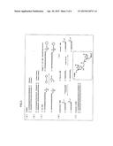 METHOD FOR CONSTRUCTING FUNCTIONAL NUCLEIC ACID MOLECULE, AND NUCLEIC ACID     COMBINATION TO BE USED IN SAID METHOD diagram and image