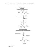 METHOD FOR THE ENZYMATIC PRODUCTION OF ISOPRENOL USING MEVALONATE AS A     SUBSTRATE diagram and image