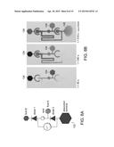 SYSTEMS AND METHODS FOR PROVIDING MICROFLUIDIC DEVICES diagram and image