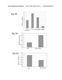 RETINAL PIGMENT EPITHELIAL CELLS DIFFERENTIATED FROM EMBRYONIC STEM CELLS     WITH NICOTINAMIDE AND ACTIVIN A diagram and image