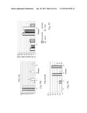 RETINAL PIGMENT EPITHELIAL CELLS DIFFERENTIATED FROM EMBRYONIC STEM CELLS     WITH NICOTINAMIDE AND ACTIVIN A diagram and image