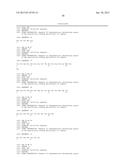 COMPOSITIONS CAPABLE OF SPECIFICALLY BINDING PARTICULAR HUMAN ANTIGEN     PRESENTING MOLECULE/PATHOGEN-DERIVED ANTIGEN COMPLEXES AND USES THEREOF diagram and image