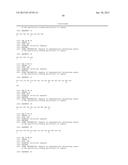 COMPOSITIONS CAPABLE OF SPECIFICALLY BINDING PARTICULAR HUMAN ANTIGEN     PRESENTING MOLECULE/PATHOGEN-DERIVED ANTIGEN COMPLEXES AND USES THEREOF diagram and image