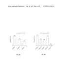 CATALYST COATINGS HAVING METAL OXIDE CRYSTALLITES diagram and image