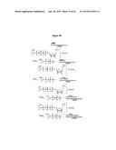 NUCLEIC ACID SEQUENCING BY NANOPORE DETECTION OF TAG MOLECULES diagram and image