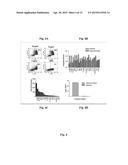 ADMINISTRATION OF ANGIOCIDIN FOR THE TREATMENT OF CANCER diagram and image