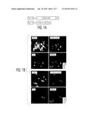 Production of TSG-6 Protein diagram and image