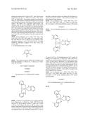 FE(III)-PYRAZINE COMPLEX COMPOUNDS FOR TREATMENT AND PROPHYLAXIS OF     IRON-DEFICIENCY PHENOMENA AND IRON-DEFICIENCY ANAEMIA diagram and image