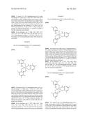 FE(III)-PYRAZINE COMPLEX COMPOUNDS FOR TREATMENT AND PROPHYLAXIS OF     IRON-DEFICIENCY PHENOMENA AND IRON-DEFICIENCY ANAEMIA diagram and image