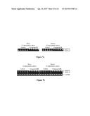 COMPOUNDS FOR TREATING SPINAL MUSCULAR ATROPHY diagram and image