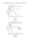 COMPOUNDS FOR TREATING SPINAL MUSCULAR ATROPHY diagram and image