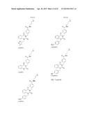 INHIBITORS OF RESPIRATORY SYNCYTIAL VIRUS diagram and image