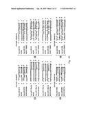 CLUSTERED SINGLE NUCLEOTIDE POLYMORPHISMS IN THE HUMAN     ACETYLCHOLINESTERASE GENE AND USES THEREOF IN DIAGNOSIS AND THERAPY diagram and image