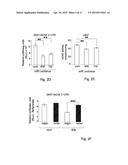 CLUSTERED SINGLE NUCLEOTIDE POLYMORPHISMS IN THE HUMAN     ACETYLCHOLINESTERASE GENE AND USES THEREOF IN DIAGNOSIS AND THERAPY diagram and image