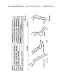 CLUSTERED SINGLE NUCLEOTIDE POLYMORPHISMS IN THE HUMAN     ACETYLCHOLINESTERASE GENE AND USES THEREOF IN DIAGNOSIS AND THERAPY diagram and image