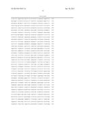 CLUSTERED SINGLE NUCLEOTIDE POLYMORPHISMS IN THE HUMAN     ACETYLCHOLINESTERASE GENE AND USES THEREOF IN DIAGNOSIS AND THERAPY diagram and image