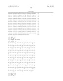 CLUSTERED SINGLE NUCLEOTIDE POLYMORPHISMS IN THE HUMAN     ACETYLCHOLINESTERASE GENE AND USES THEREOF IN DIAGNOSIS AND THERAPY diagram and image