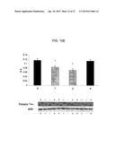 POLYUNSATURATED FATTY ACIDS FOR TREATMENT OF DEMENTIA AND     PRE-DEMENTIA-RELATED CONDITIONS diagram and image