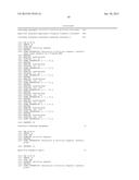 CHO-GMT RECOMBINANT PROTEIN EXPRESSION diagram and image