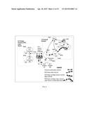 Systems and computer program products and methods and media for operating     a scalable, private practice tele-consultation service diagram and image