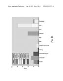 ISOLATED POLYPEPTIDES, POLYNUCLEOTIDES ENCODING SAME, TRANSGENIC PLANTS     EXPRESSING SAME AND METHODS OF USING SAME diagram and image