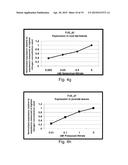 ISOLATED POLYPEPTIDES, POLYNUCLEOTIDES ENCODING SAME, TRANSGENIC PLANTS     EXPRESSING SAME AND METHODS OF USING SAME diagram and image