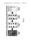 ISOLATED POLYPEPTIDES, POLYNUCLEOTIDES ENCODING SAME, TRANSGENIC PLANTS     EXPRESSING SAME AND METHODS OF USING SAME diagram and image