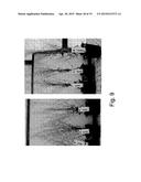 ISOLATED POLYPEPTIDES, POLYNUCLEOTIDES ENCODING SAME, TRANSGENIC PLANTS     EXPRESSING SAME AND METHODS OF USING SAME diagram and image