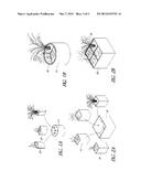 CONFIGURABLE SEGMENTED PLANT POTS diagram and image