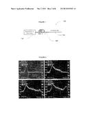 Laser Processing System Using Broad Band Pulsed Lasers diagram and image