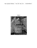 METHOD OF RECOVERING RARE EARTH ELEMENTS FROM OXIDIZED SCRAP OF PERMANENT     MAGNET diagram and image