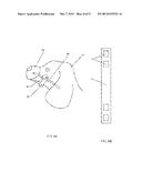 METHOD AND APPARATUS FOR PORTABLE FLUID DELIVERY FOR ANIMALS diagram and image