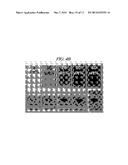 PRODUCING METHOD OF MESOPOROUS THIN FILM SOLAR CELL BASED ON PEROVSKITE diagram and image