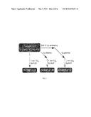 Chemically Passivated Zinc Oxide Photoelectrode for Photoelectrochemical     Water Splitting diagram and image