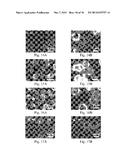 MITIGATING LEAKS IN MEMBRANES diagram and image