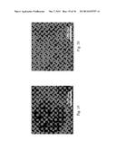 MITIGATING LEAKS IN MEMBRANES diagram and image