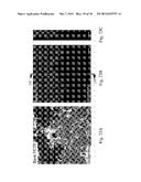 MITIGATING LEAKS IN MEMBRANES diagram and image