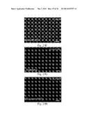 MITIGATING LEAKS IN MEMBRANES diagram and image