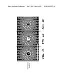 CENTRIFUGE FORCE MICROSCOPE MODULES AND SYSTEMS FOR USE IN A BUCKET OF A     CENTRIFUGE diagram and image