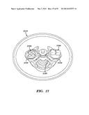 CENTRIFUGE FORCE MICROSCOPE MODULES AND SYSTEMS FOR USE IN A BUCKET OF A     CENTRIFUGE diagram and image