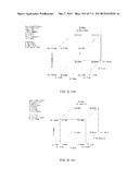 PRESSURE OXIDATION OF ENARGITE CONCENTRATES CONTAINING GOLD AND SILVER diagram and image