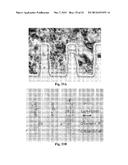 MEMORY ARCHITECTURE OF 3D ARRAY WITH DIODE IN MEMORY STRING diagram and image