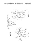 ADAPTIVE WHEELED CARRIER AND TRANSPORT DEVICE diagram and image