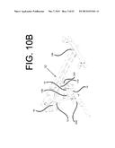 ADAPTIVE WHEELED CARRIER AND TRANSPORT DEVICE diagram and image