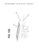 ADAPTIVE WHEELED CARRIER AND TRANSPORT DEVICE diagram and image