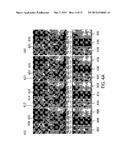 Joint View Expansion And Filtering For Automultiscopic 3D Displays diagram and image